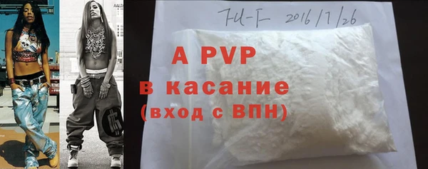 крисы Майский