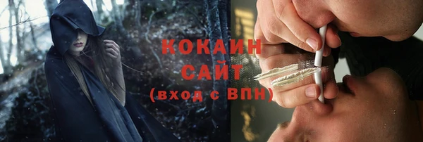 крисы Майский