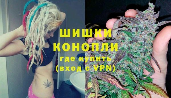 молекула духа Магадан